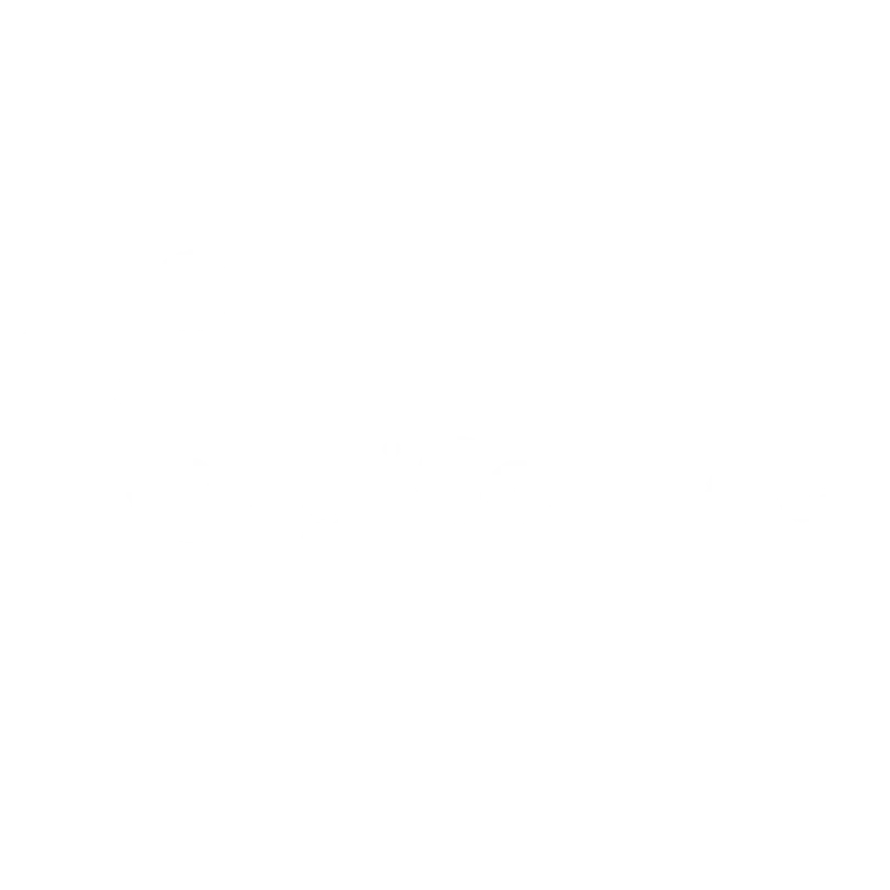 DigiConnect Logo1